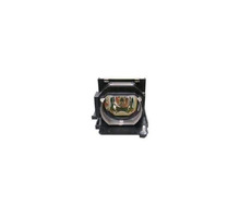 Image WW-07VT-2.